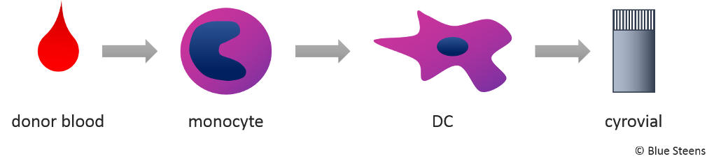 Immunicum – Scalable Personalised Cancer Immunotherapy