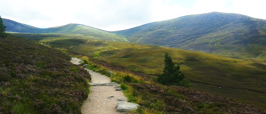 Winding path in Cairngorms, Scotland