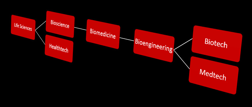 Terminology hierarchy from life sciences to biotech and medtech