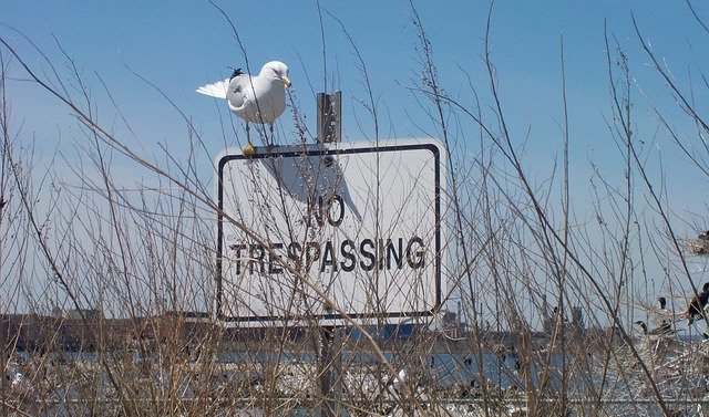 no tresspassing