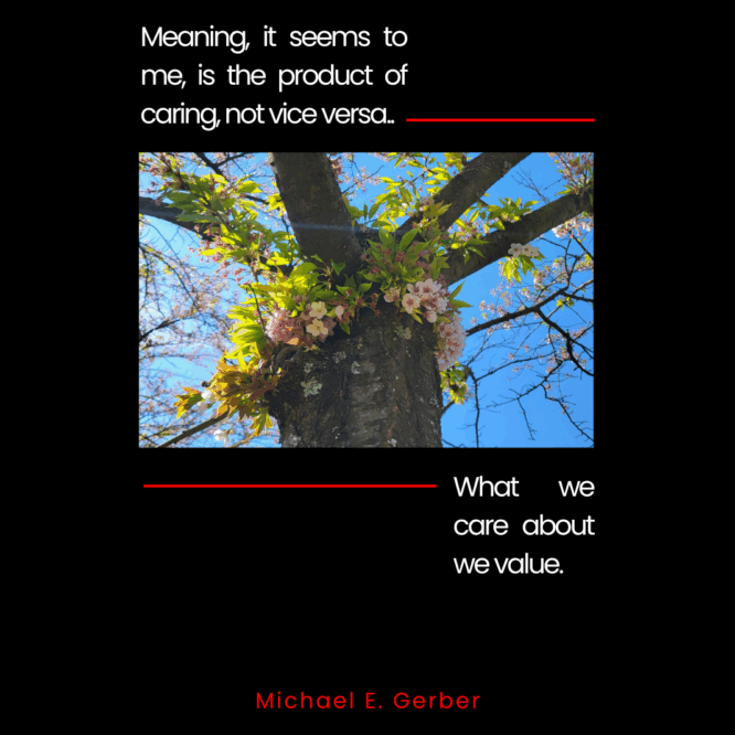 Meaning, it seems to me, is the product of caring, not vice versa. What we care about we value.- Michael E. Gerber